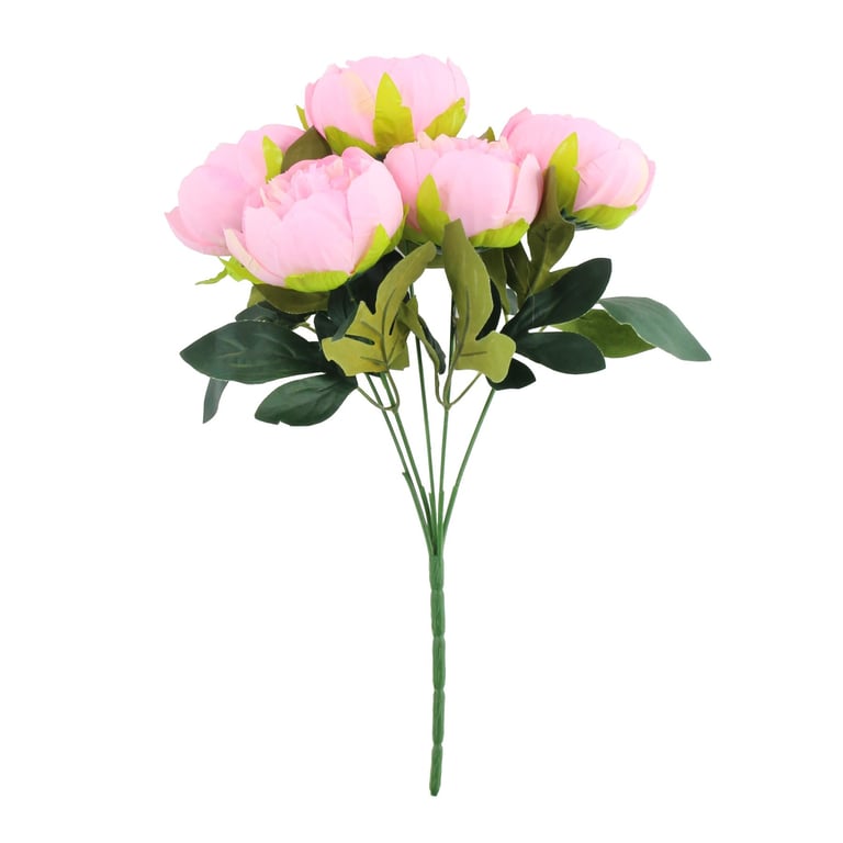 Pink Arundel Peony Bush - Vibrant Floral Plant for Outdoor Gardening and Decorations