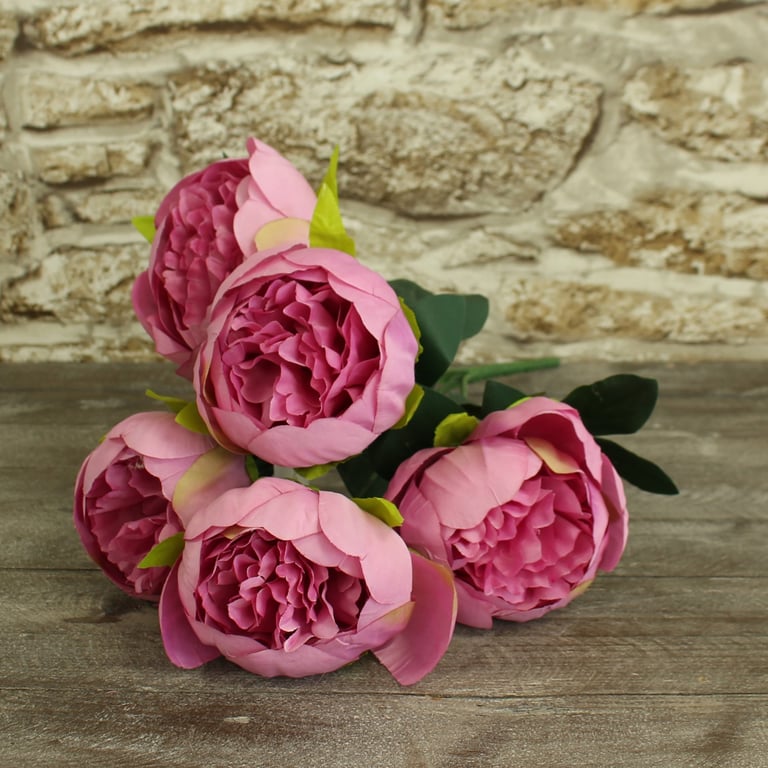 Arundel Peony Bush Lilac - Drought-Tolerant Perennial Shrub with Vibrant Lilac Flowers and Attractive Foliage for Outdoor Landscaping