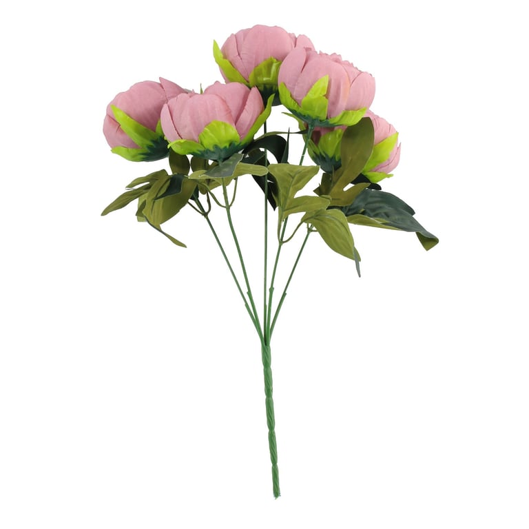 Arundel Peony Bush Dusky Pink - Vibrant Perennial Garden Bushes for Outdoor Decor