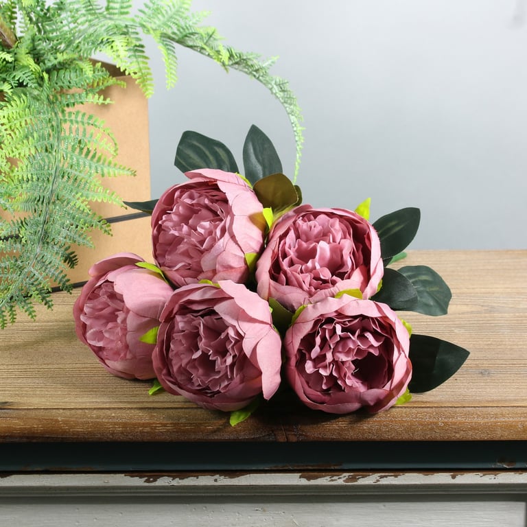 Arundel Peony Bush Dusky Pink - Vibrant Perennial Garden Bushes for Outdoor Decor