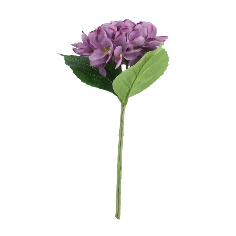 Purple Arundel Hydrangea - Large Purple Hydrangeas for Floral Arrangements and Garden Decor