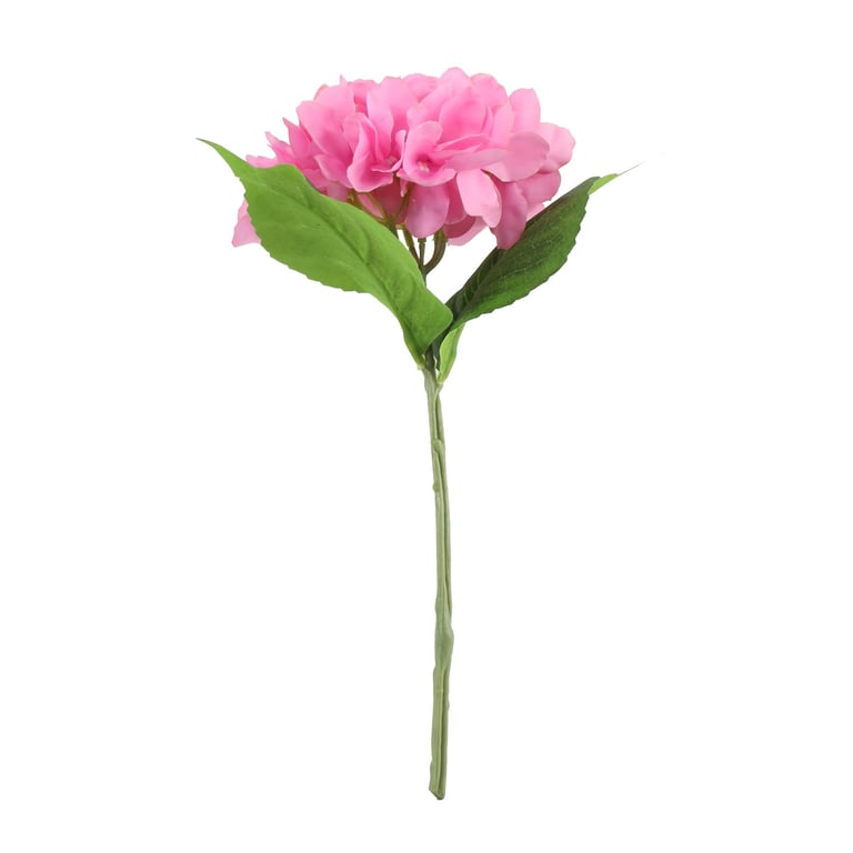 Pink Arundel Hydrangea - Vibrant Pink Blooms in Every Season, Perfect Outdoor Garden Plant for Flower Arrangements and Landscaping