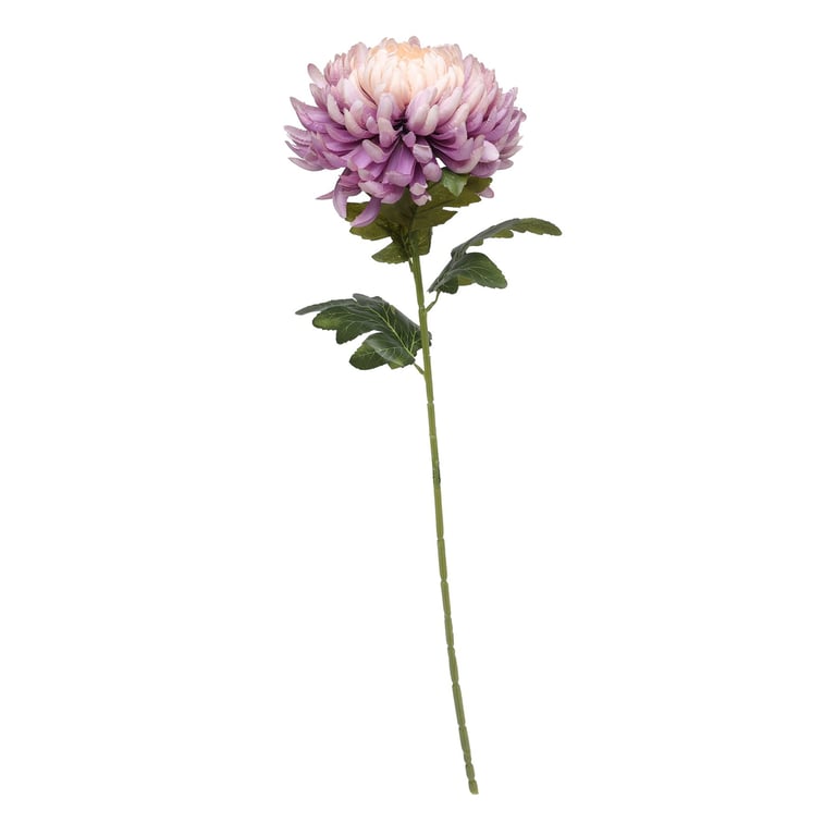 Chrysanthemum Lavender Home Fragrance Diffuser - Natural Essential Oil Relaxing Aromatherapy Perfume