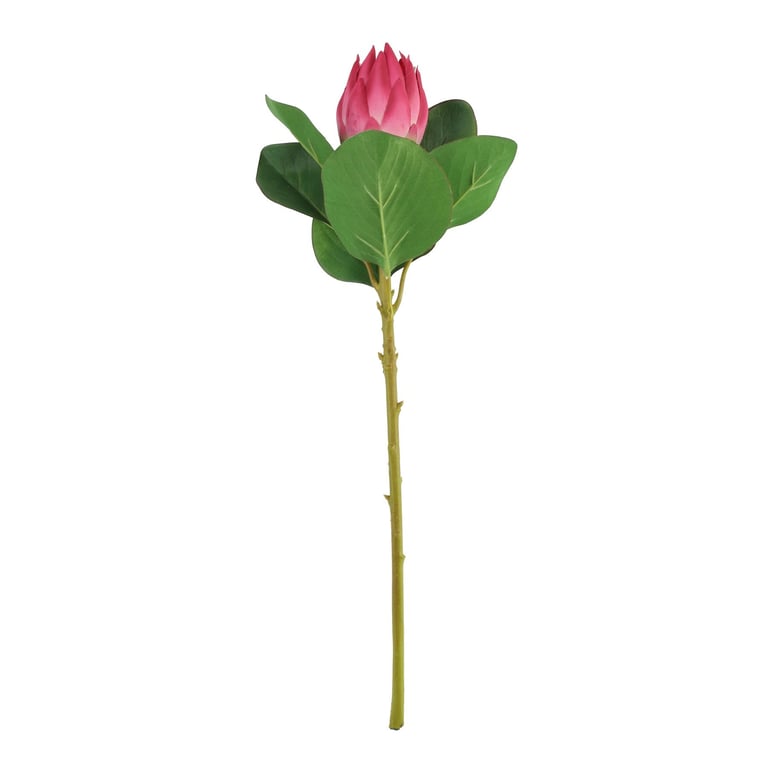 Hot Pink Protea Beauty Floral Arrangement, 51cm Home Decor and Garden Decoration