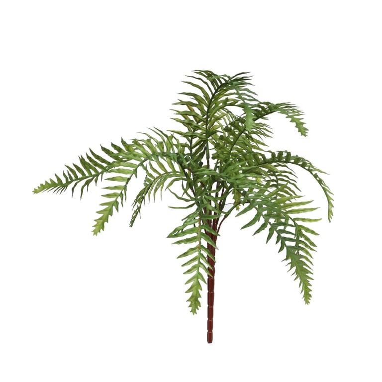 Artificial Pinate Fern - Realistic Indoor Plant for Home Decor and Greenery