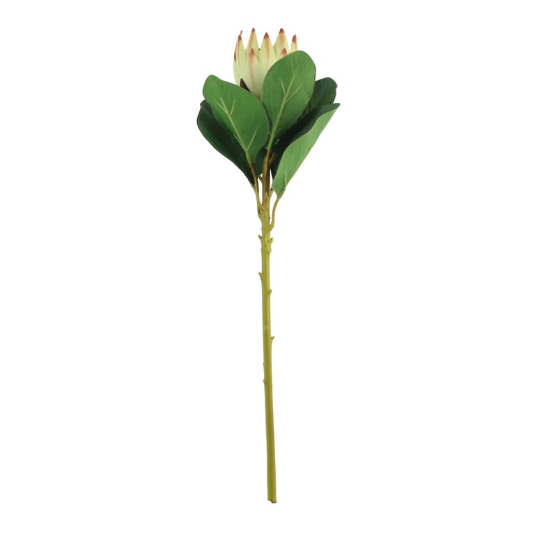 Protea Green Sprays - 51cm Large Indoor Plant Decorations