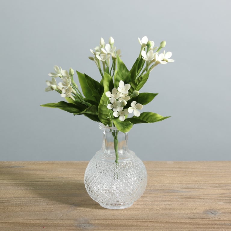 White Jasmine Bush 23cm - Fragrant Indoor & Outdoor Plant Decoration for Home Garden