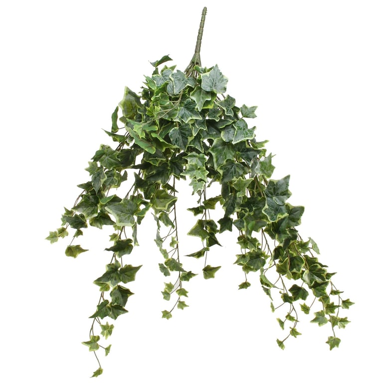 Frosted Ivy Bush Vine - 80cm Indoor Green Wall Decor for Home Decoration