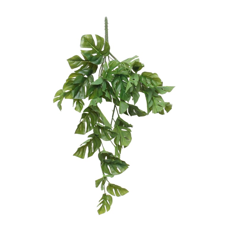24 Inch Split Philo Hanging Bush Plant Holder with Indoor Support and Decorative Design