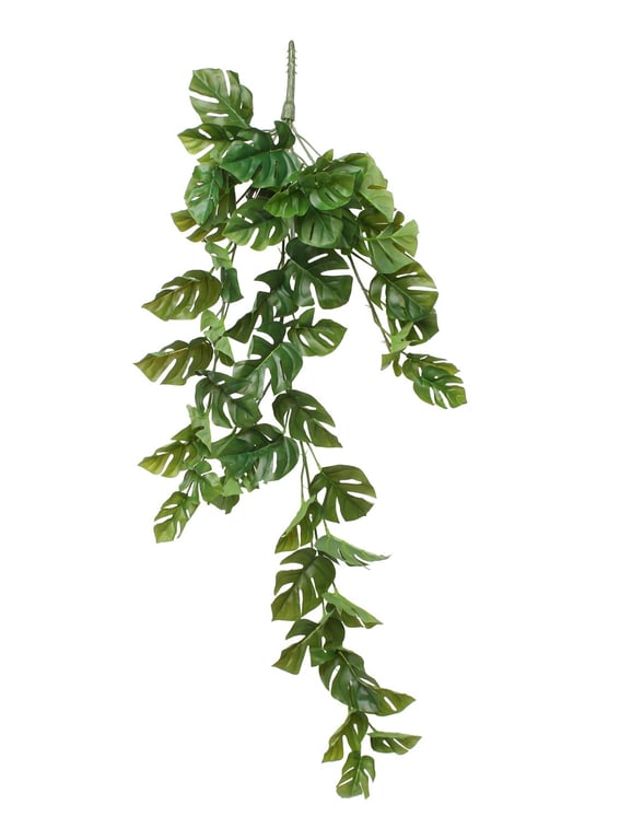 Mini Split Philo Hanging Bush 38 Indoor Garden Decoration Plant Holder Stand