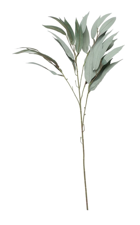 Mango Leaves Spray - Natural Room Deodorizer for Home & Garden Decor