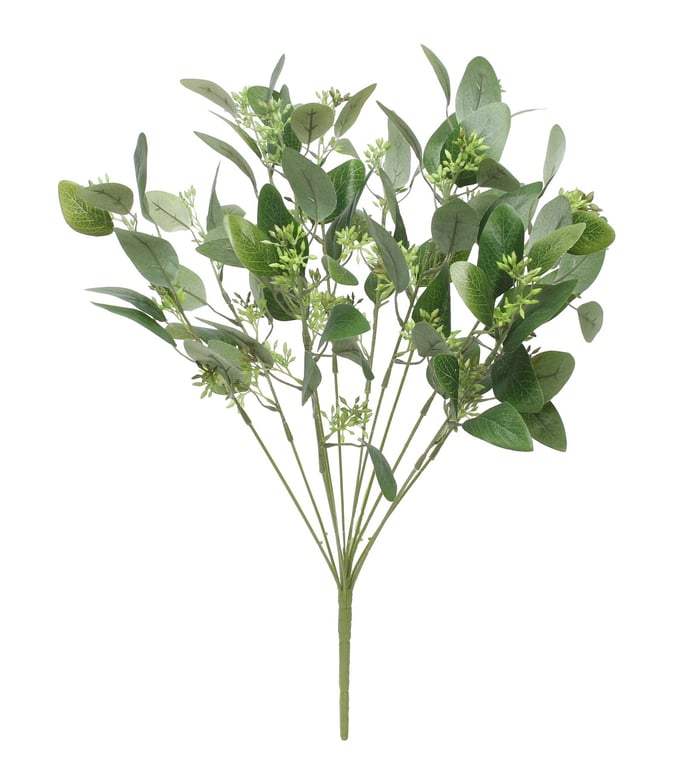 Eucalyptus Bush 19inch - Fresh Indoor/Outdoor Home Garden Plant