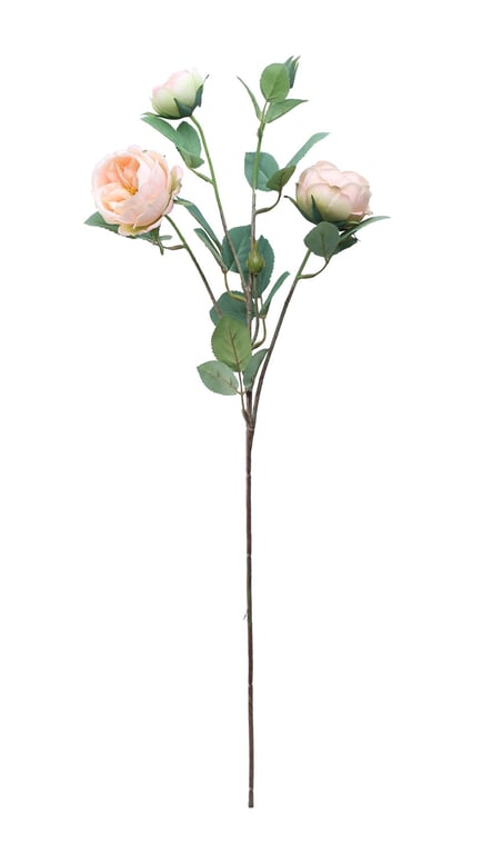 Tintagel Vintage English Rose Spray - Peach Fragrance Home and Garden Scent