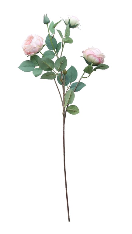Tintagel Vintage English Rose Light Pink Floral Home Decor Accessory
