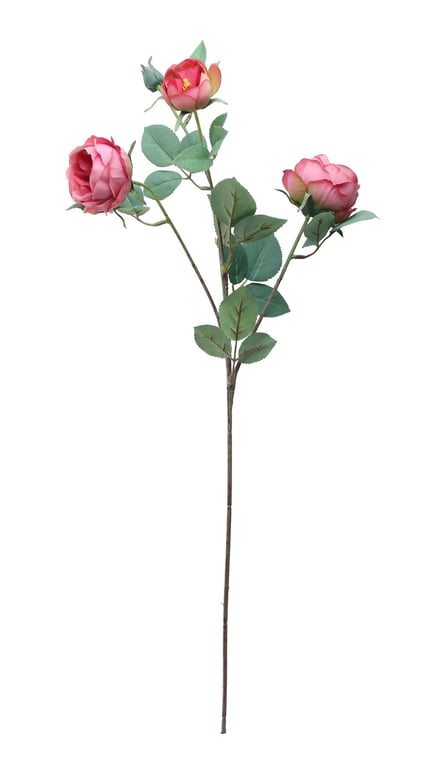 Tintagel Vintage English Rose Dusky Pink Fragrance Spray