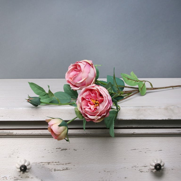 Tintagel Vintage English Rose Spray - Timeless Pink Floral Mist with Rose Essence Perfume