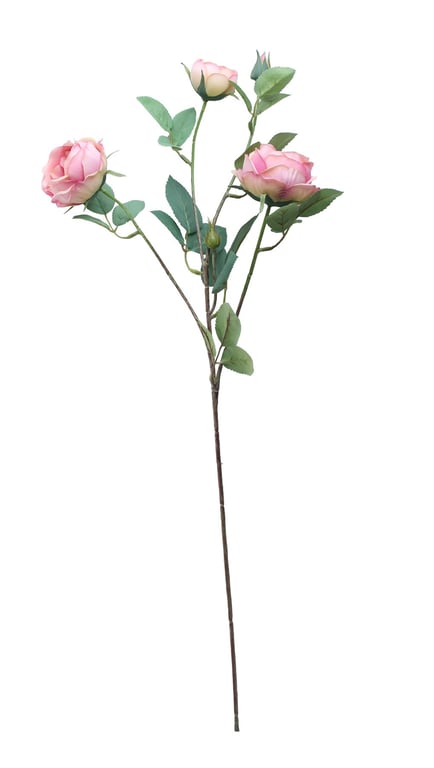 Tintagel Vintage English Rose Spray - Timeless Pink Floral Mist with Rose Essence Perfume