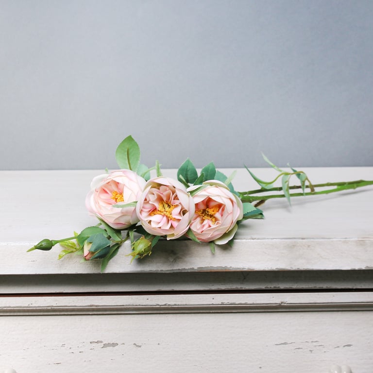 Tintagel Vintage Hedgerow Rose Light Pink Floral Wall Art Home Decor