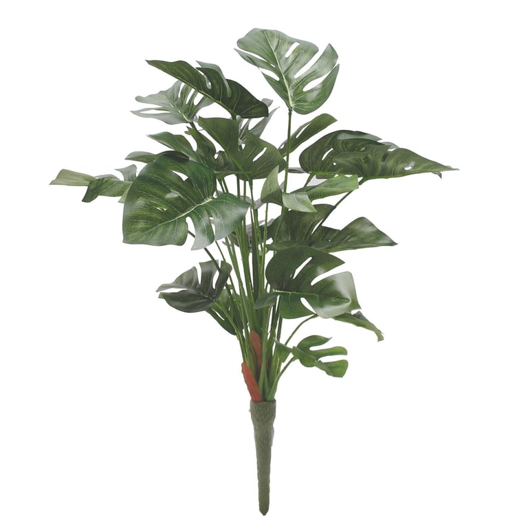 46cm Split Philo Plant - Large Indoor Houseplant with Green Split Leaf Philodendron