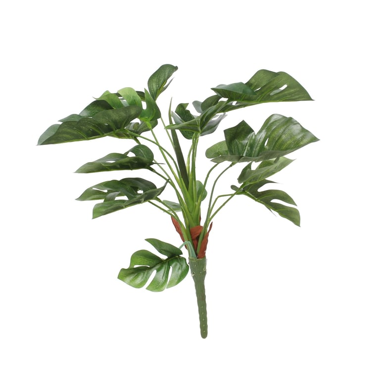 38cm Split Philo Plant - Small Indoor Houseplant with Unique Split Leaves for Home Decoration
