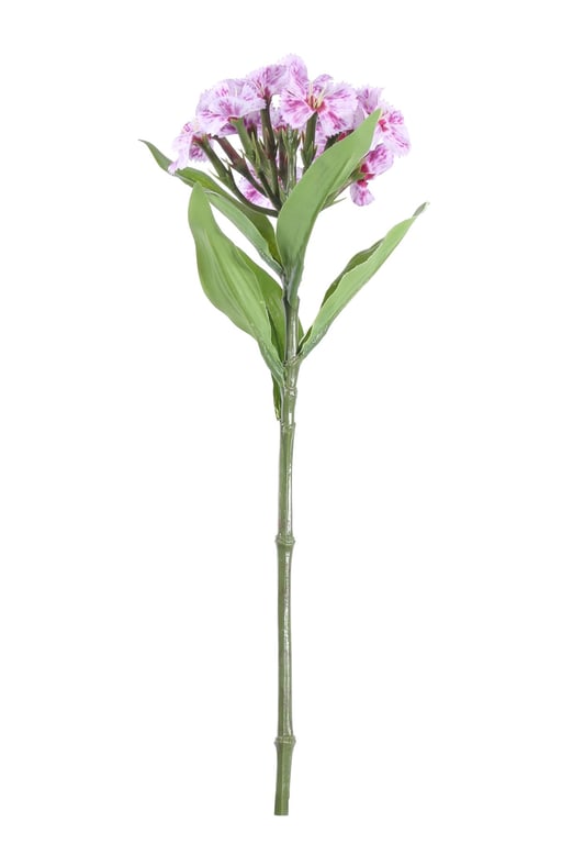 Purple Dianthus - 32cm Long-Stemmed Indoor Plant for Home Garden Decor