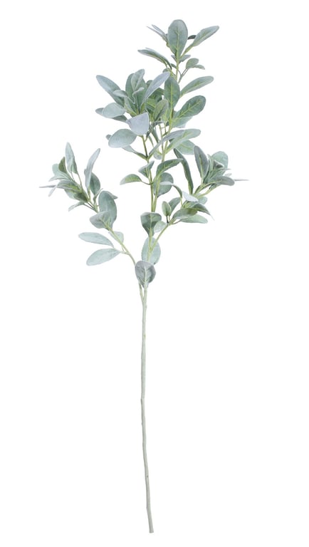 Extra Large Display Lambs Ear - Unique Garden Decoration for Outdoor Walls and Home Accents