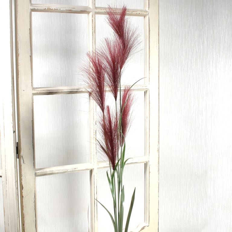 Red Pampas Grass (145cm) - Dried Fall Decoration for Home and Garden