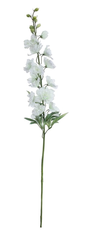 White Delphinium Spray - 91cm Tall Fresh Cut White Flowers for Garden Decoration or Floral Arrangements