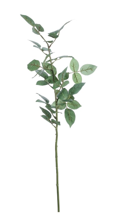 Rose Leaf Spray - Elegant Home & Garden Decor Plant Misting Bottle