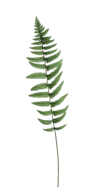 Large Ladder Fern Leaf - 70cm Tall Foliage Plant for Home Garden Decor and Indoor Hanging Spaces