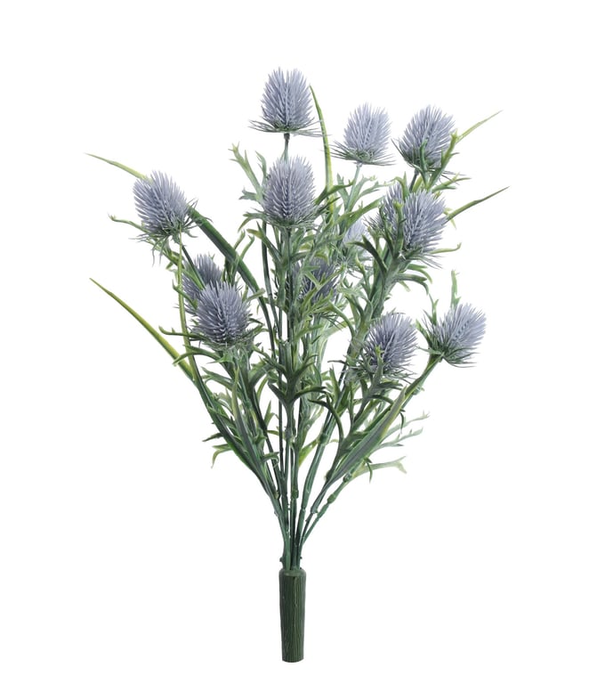 Thistle Bush - 41cm Tall Garden Plant for Outdoor Decoration and Home Decor