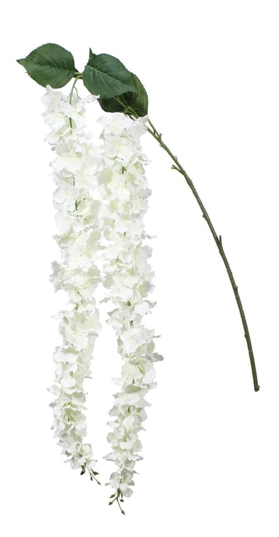 Fantasia Cream Hydrangea Trail 162cm Floral Pattern Curtain for Home Decor