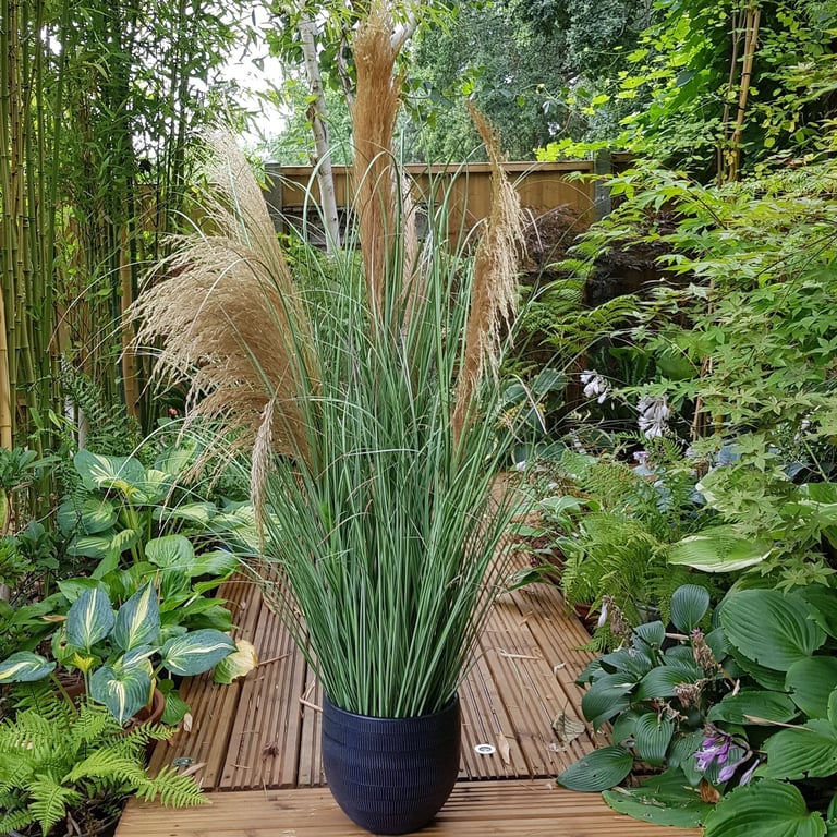 Potted Pampas Grass - 5 Heads, 118cm Tall Home Decor Accent
