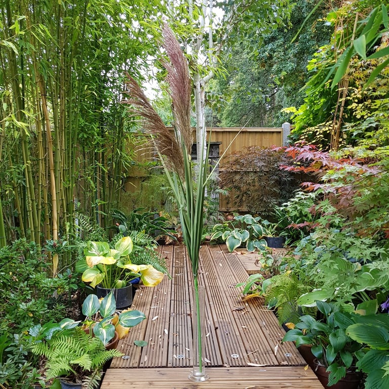 Blood Grass Pampas Spray - 155cm Tall Home Decor and Garden Decoration Addition for Fall Season
