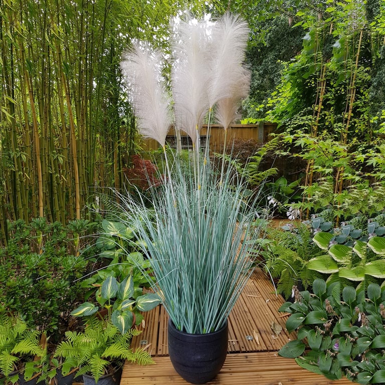 Potted Pampas Grass Arrangement - 5 Sturdy Heads (137cm) for Home Decor & Fall Seasonal Accents