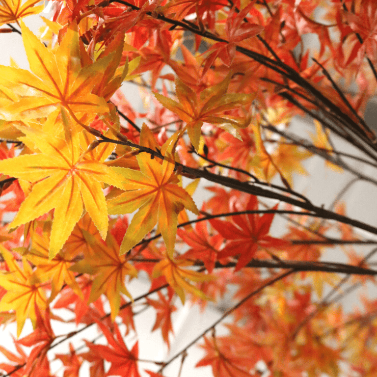 Artificial Japanese Maple Tree Red - 2.8m Indoor Decorative Plant