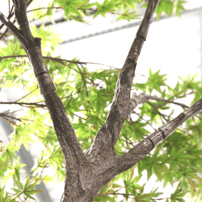 Artificial Japanese Acer Tree - 2.7m Tall Green Indoor Plant Decoration