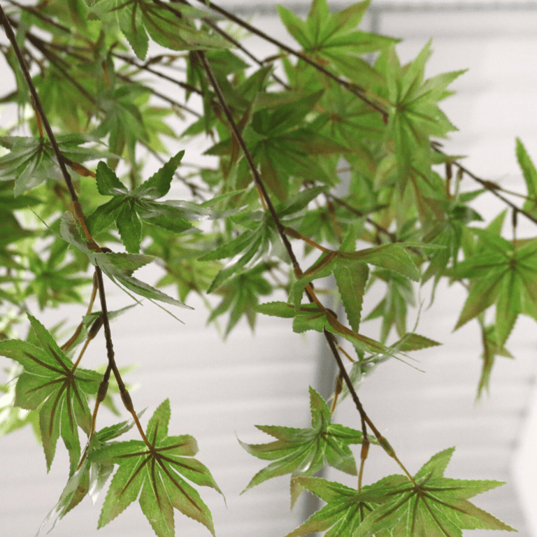 Artificial Japanese Acer Tree - 2.7m Tall Green Indoor Plant Decoration