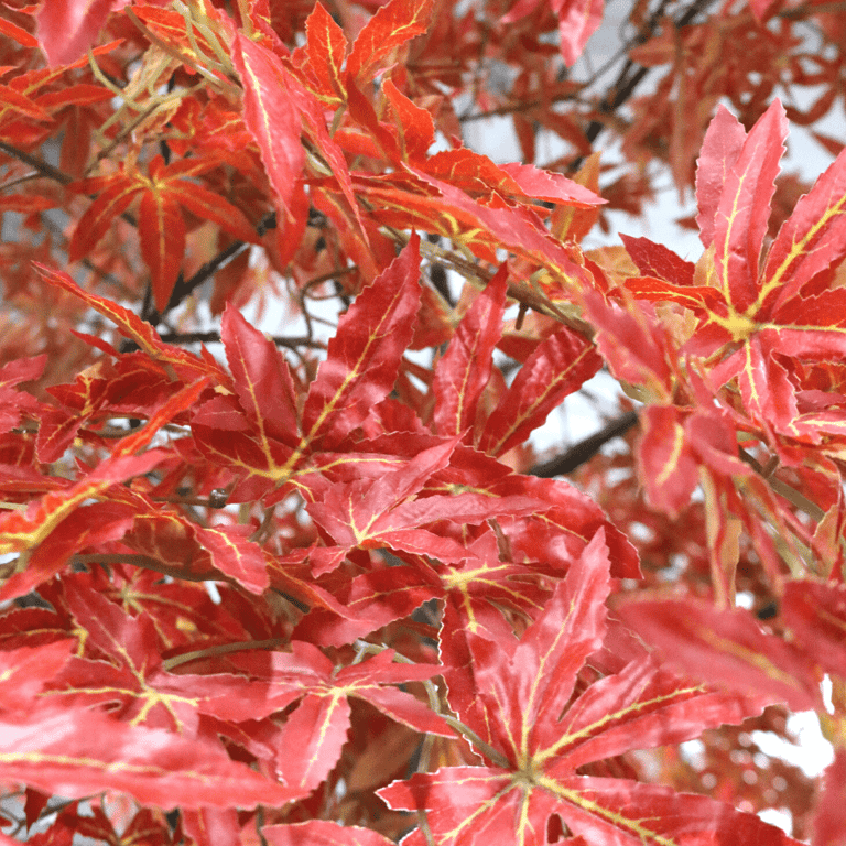 Artificial Red Japanese Acer Tree (2.7m) - Durable Indoor Home Garden Decor for Fall Season Decoration