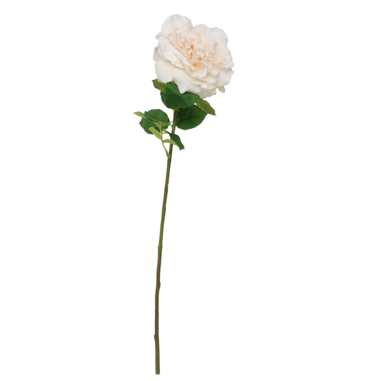Balmoral Wild Cream Rose - 65cm Large Home Decor Garden Decoration