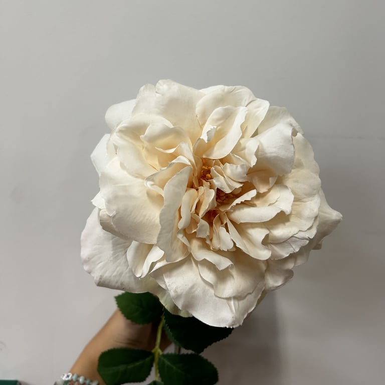 Balmoral Wild Cream Rose - 65cm Large Home Decor Garden Decoration