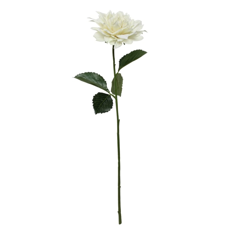 Glamis Single Dahlia with 2 Leaves Cream - Large Flower Arrangement Decoration