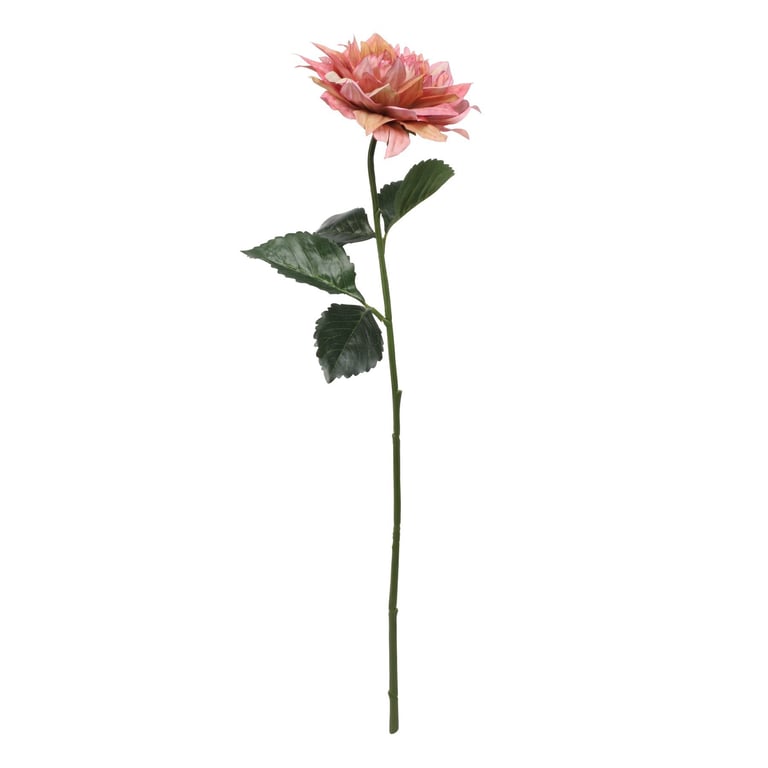 Glamis Single Pink Dahlia Flower with 2 Leaves, 61cm Stem for Home Garden Decorations and Bouquets