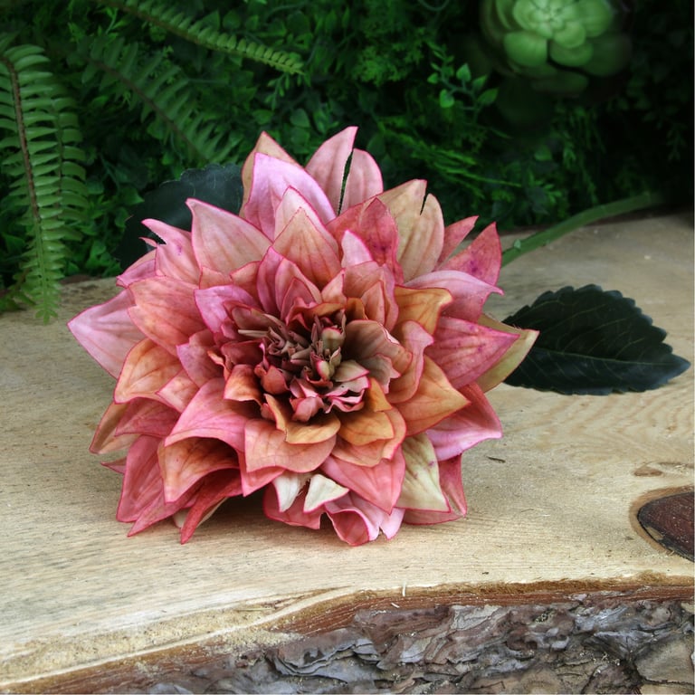 Glamis Single Pink Dahlia Flower with 2 Leaves, 61cm Stem for Home Garden Decorations and Bouquets