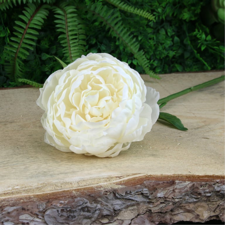 Glamis Single Peony Cream 62cm Floral Home Decor Cushion Pillow Cover