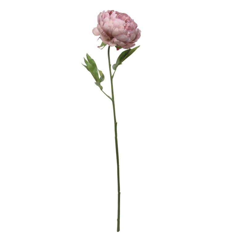 Glamis 62cm Single Mauve Peony Flower Arrangement for Home Decor and Garden Decoration