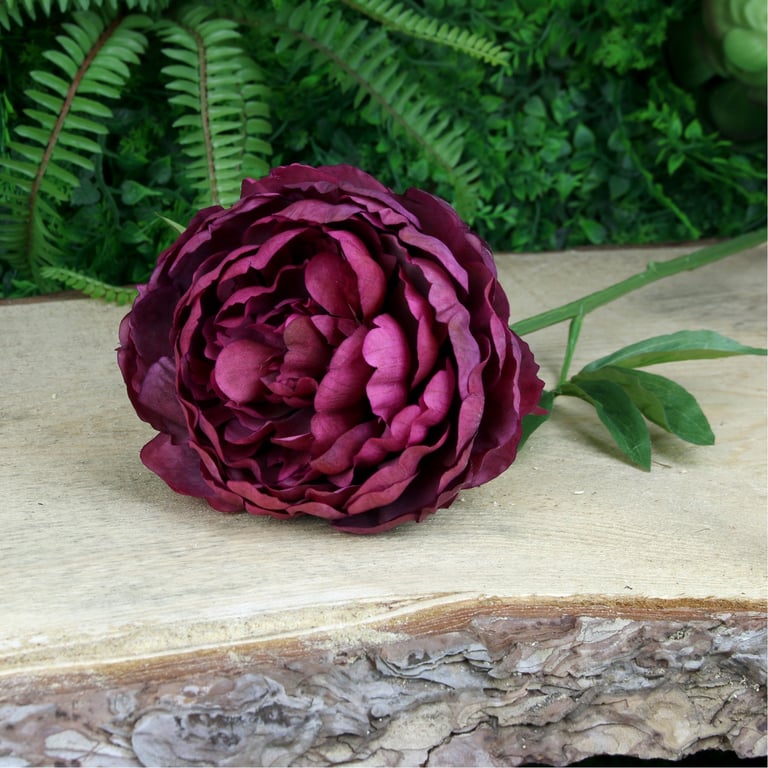 Glamis Single Peony 62cm Burgundy Artificial Flower for Home Decor and Garden Decoration