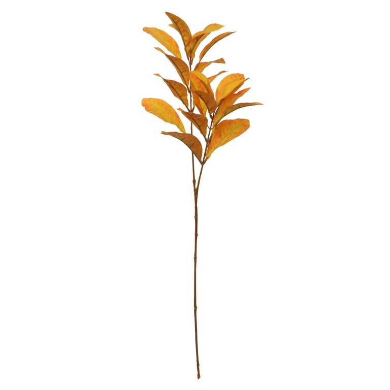 Glamis Croton Gold Indoor Tropical Plant 72cm High Quality Houseplant Decor