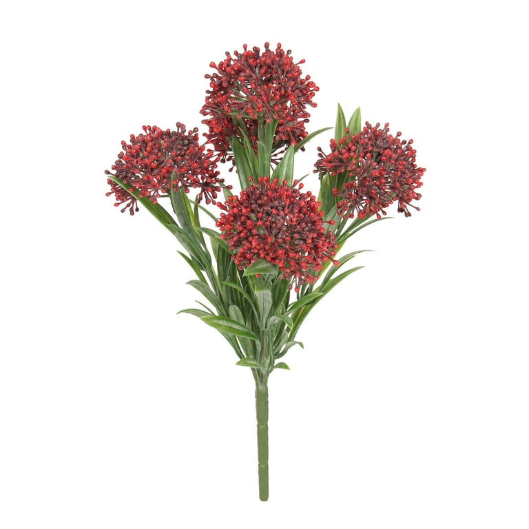 UV Exterior Everlast Skimmia Plant - 24cm Outdoor UV Resistant Garden Shrub