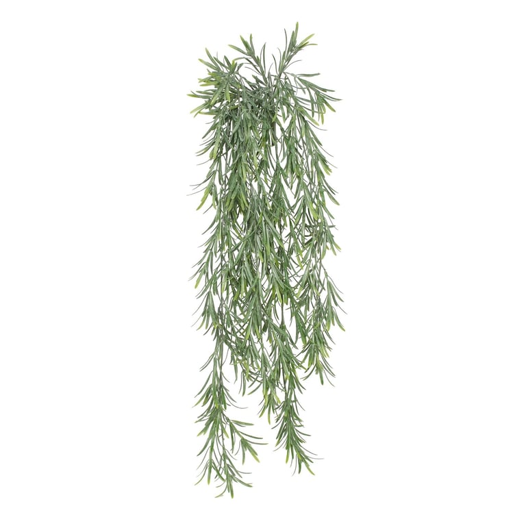 UV Exterior Everlast Trailing Rosemary Plant - Drought Tolerant & Long Lasting Home Garden Decoration